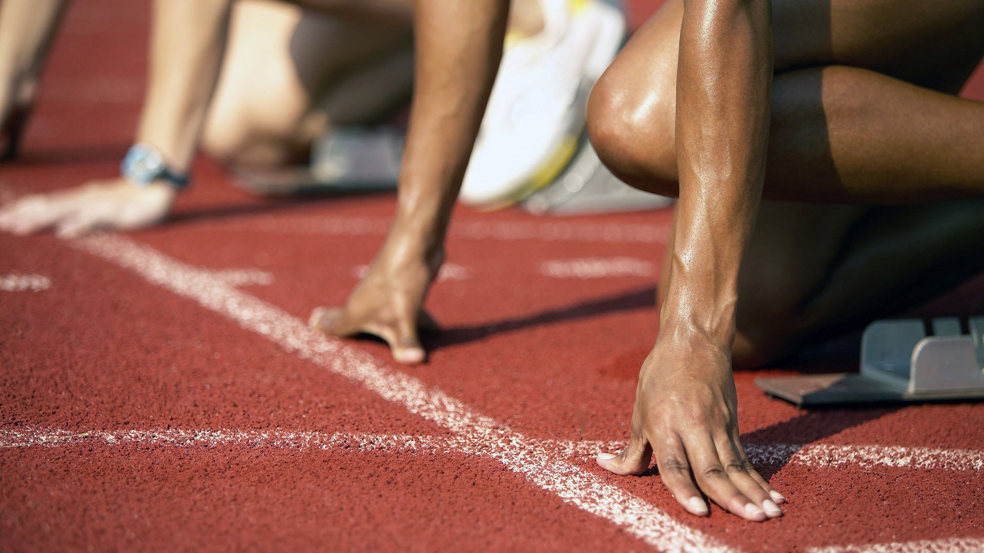 F1赛车赛场焦点！日本队对阵荷兰队，爆冷逆转，黑马强势击败劲敌