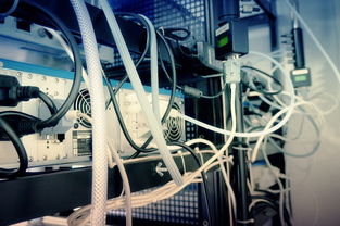 Doinb新星突破纪录表现惊艳，巴塞罗那未来可期！